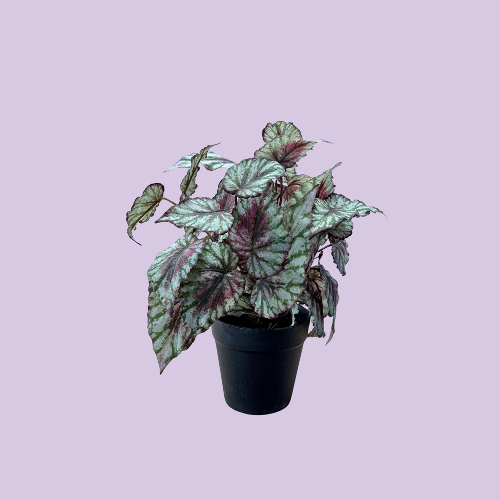 Artificial Begonia