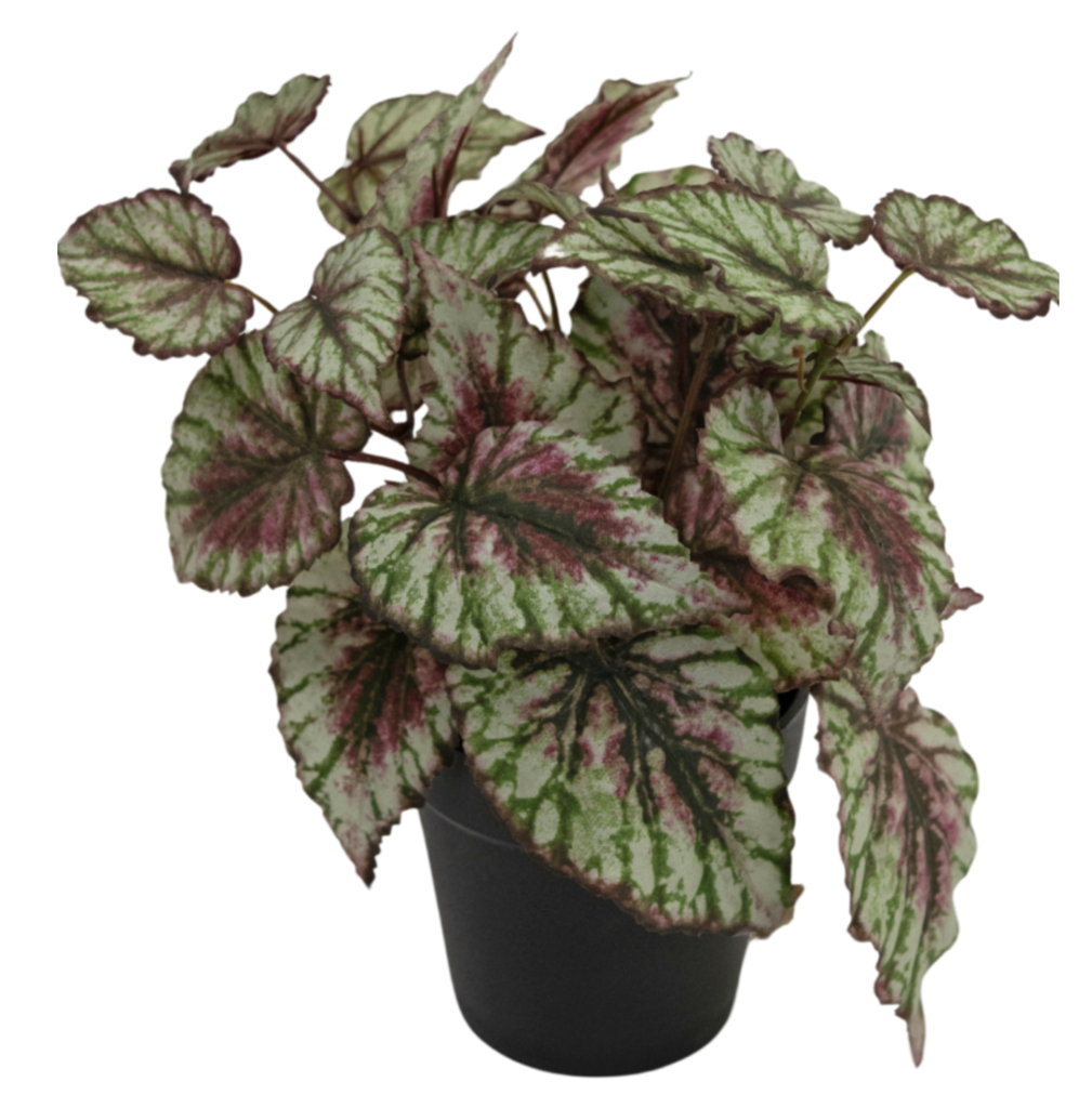 Kunstig Begonia