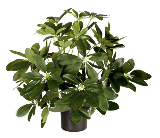 [2065] Kunstig Baby Schefflera