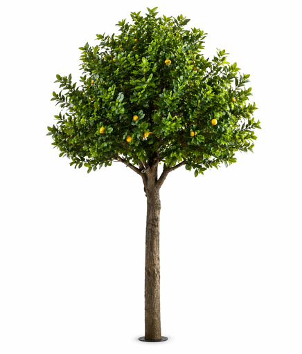 [2158] Artificial Lemon tree 3.5m (standard)